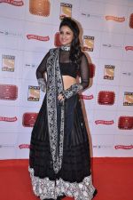 Parineeti Chopra at Stardust Awards 2013 red carpet in Mumbai on 26th jan 2013 (488).JPG